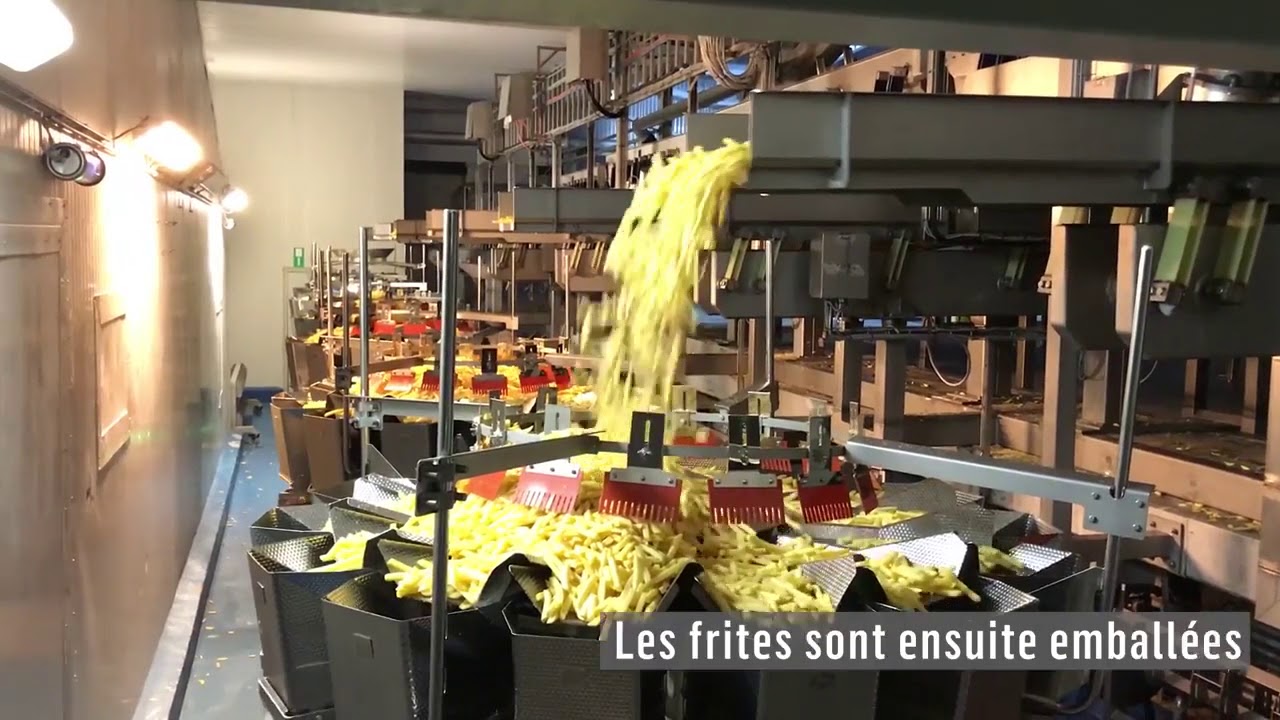 Mydibel - De la patate à la frite en une heure