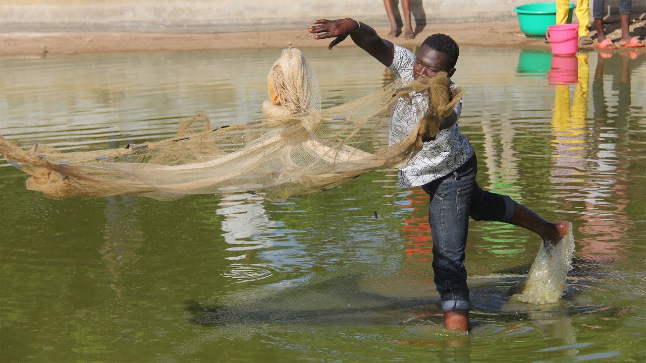 Burkina Faso : pécher le futur