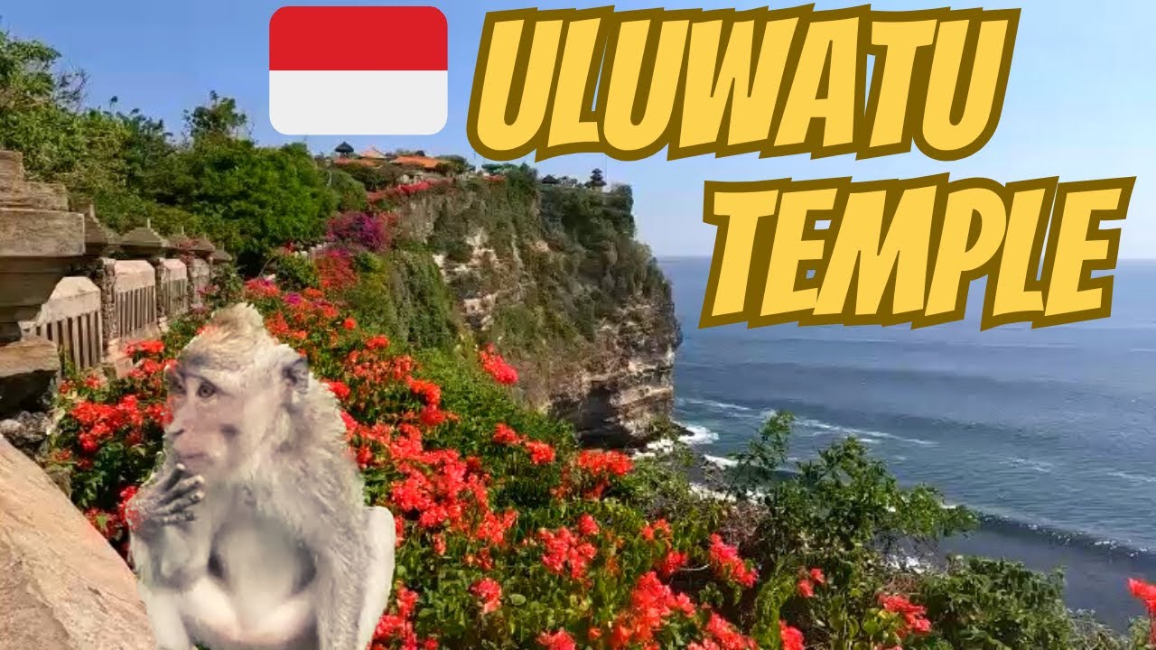 🇮🇩 Uluwatu Temple, Bali: Monkey Thief's! 🇮🇩
