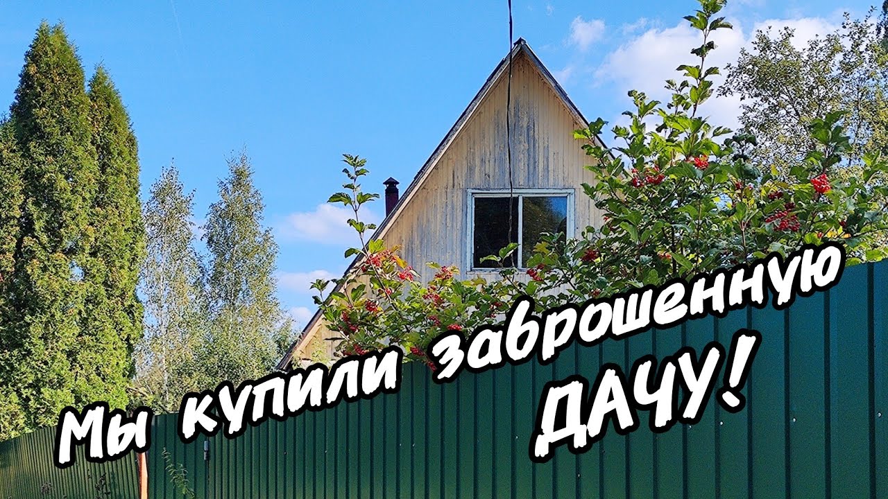Сама в ШОКЕ! ! Купили заброшенную дачу!