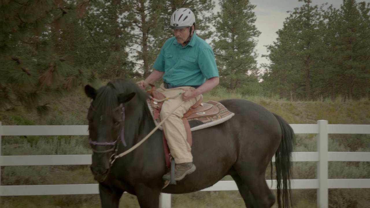 Healing Reins