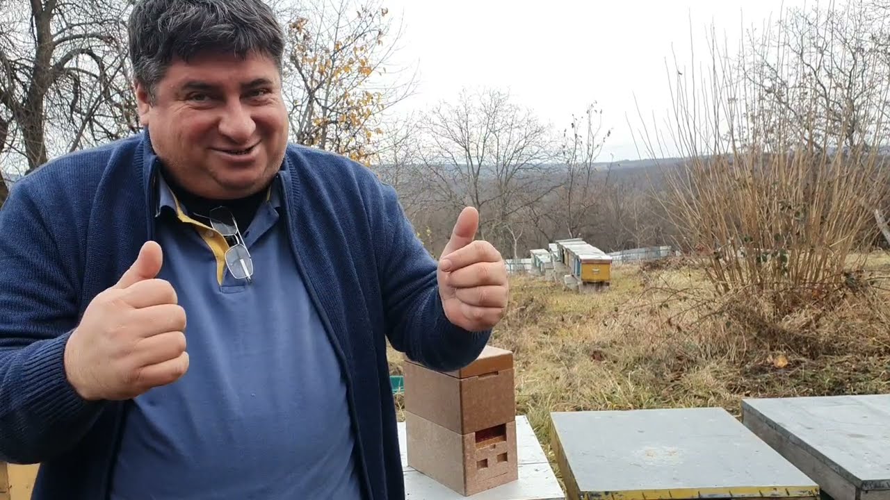 Azi am deschis stupii pentru a vedea starea coloniilor de albine la început de 2024