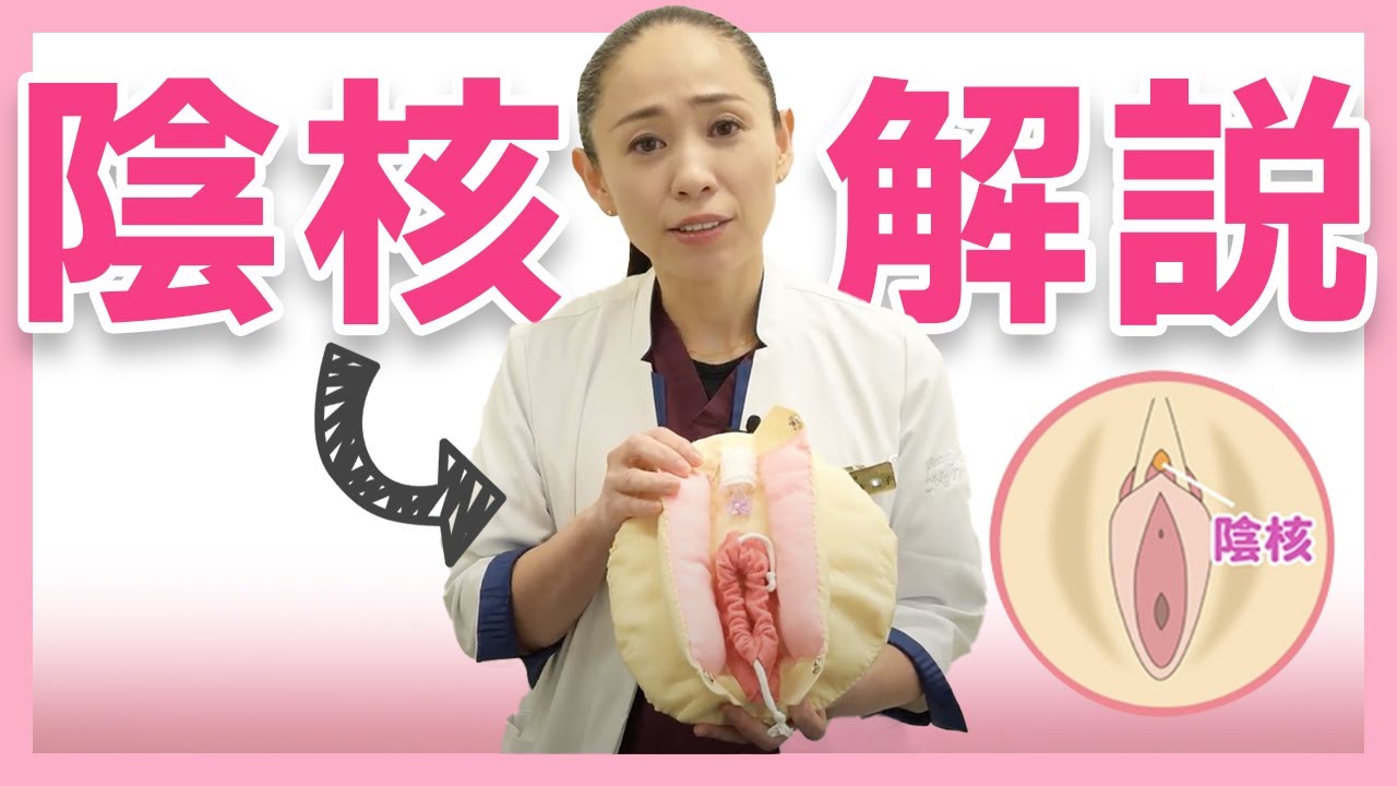 【女性器解説】包皮・陰核の構造について解説！デリケートゾーンの構造