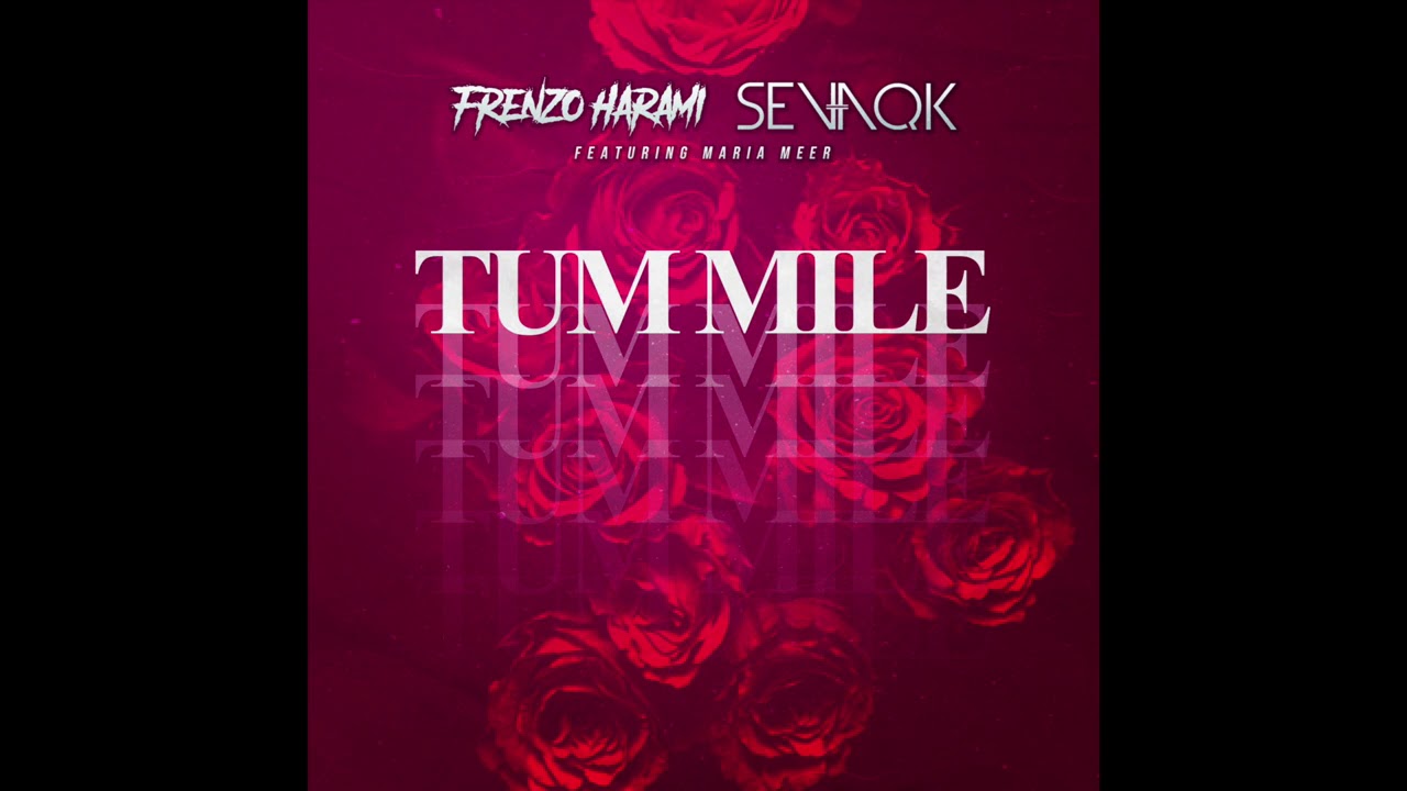 Frenzo Harami x Sevaqk - Tum Mile (feat. Maria Meer) [Audio]