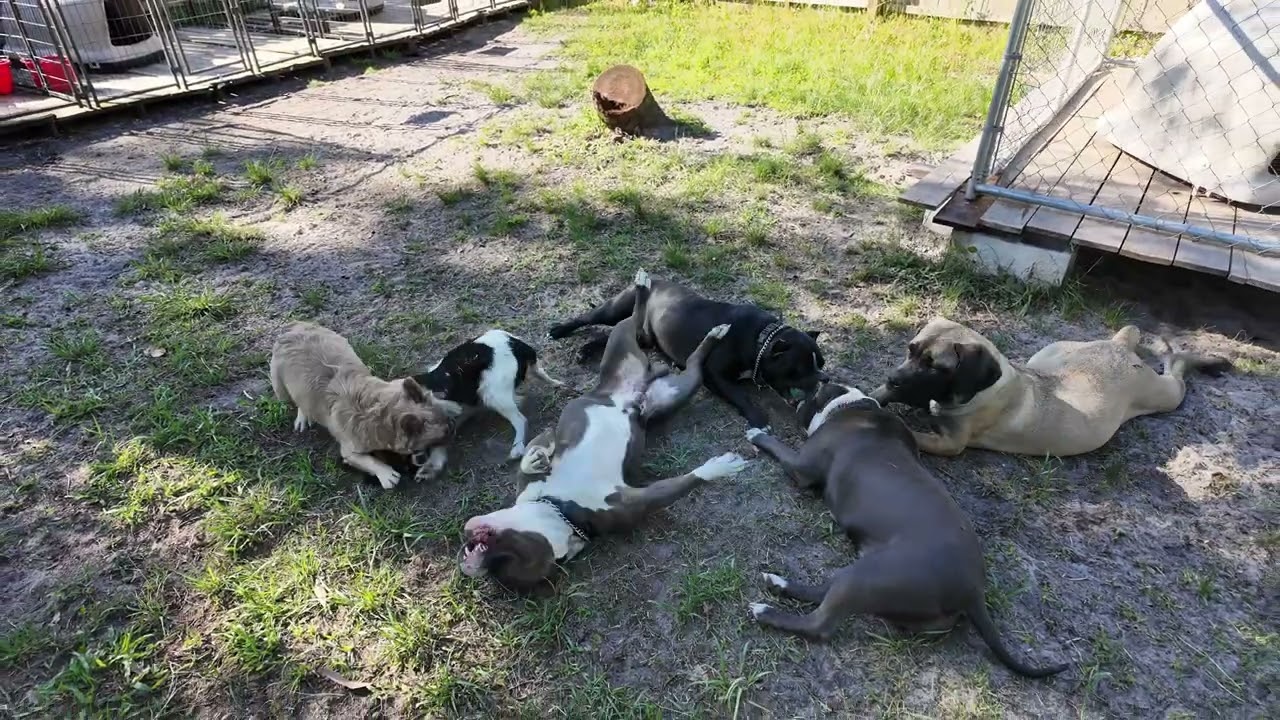 UPDATE AFTER LOSING LITTER