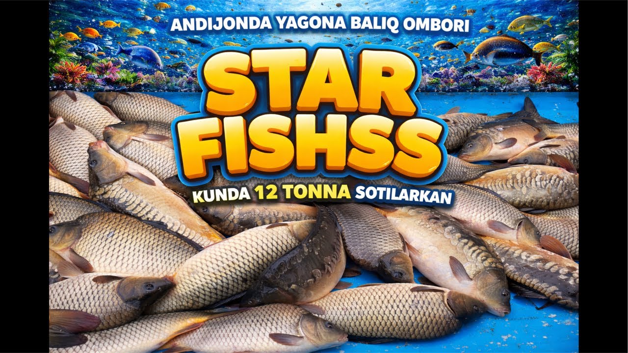 Star_fishss в прямом эфире!