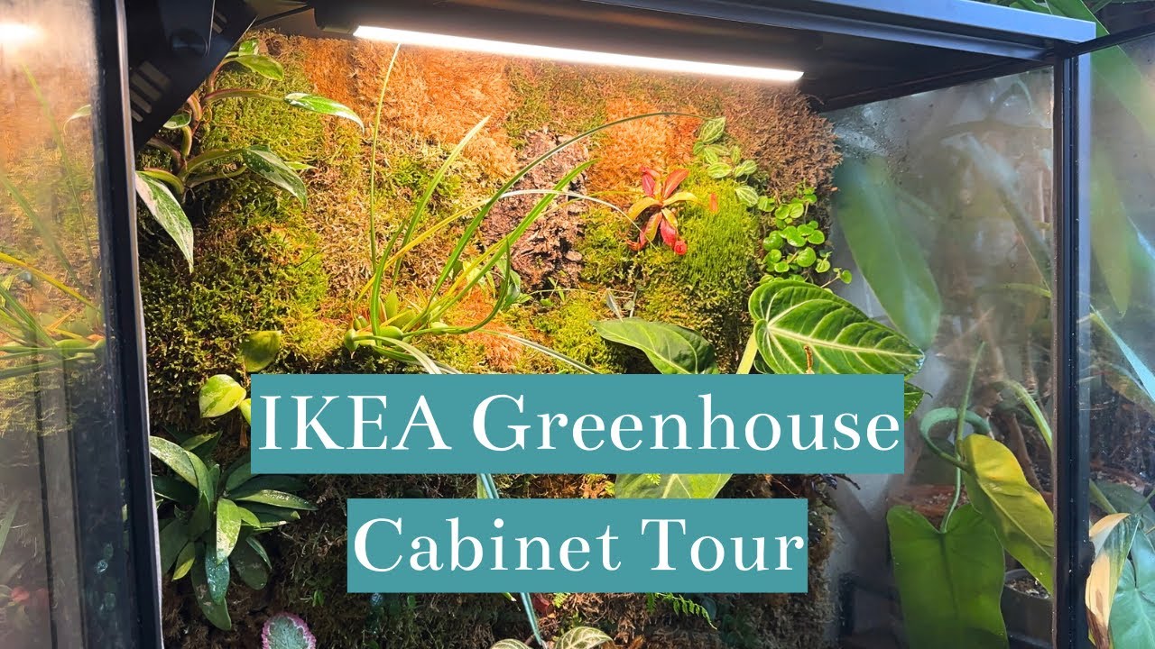Plant Tour | IKEA Greenhouse Cabinet