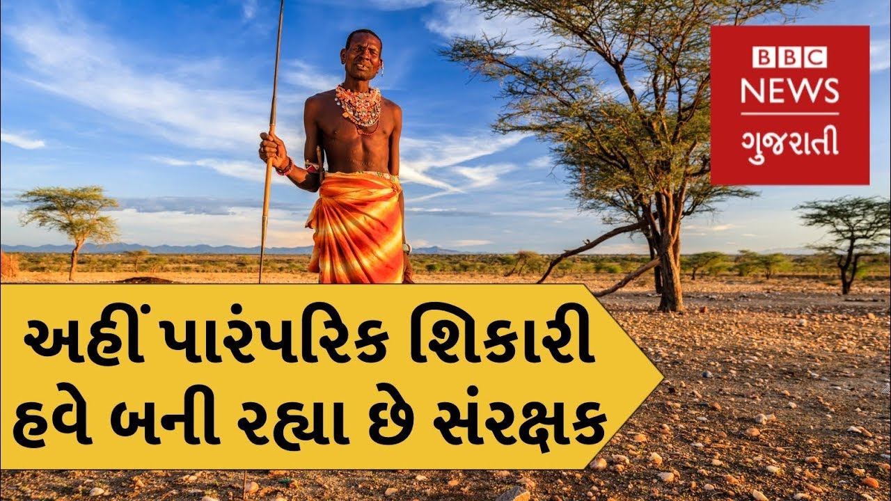 પેઢીઓથી શિકાર કરતા આ શિકારીઓએ કેમ શિકાર છોડી દીધો? (બીબીસી ન્યૂઝ ગુજરાતી)