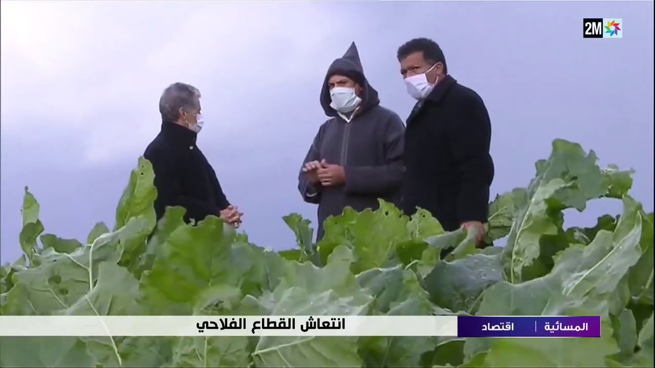التساقطات الأخيرة تنعش آمال الفلاحين