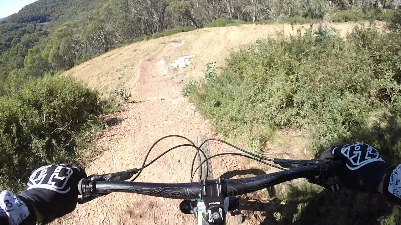 ABOM - Mt Buller