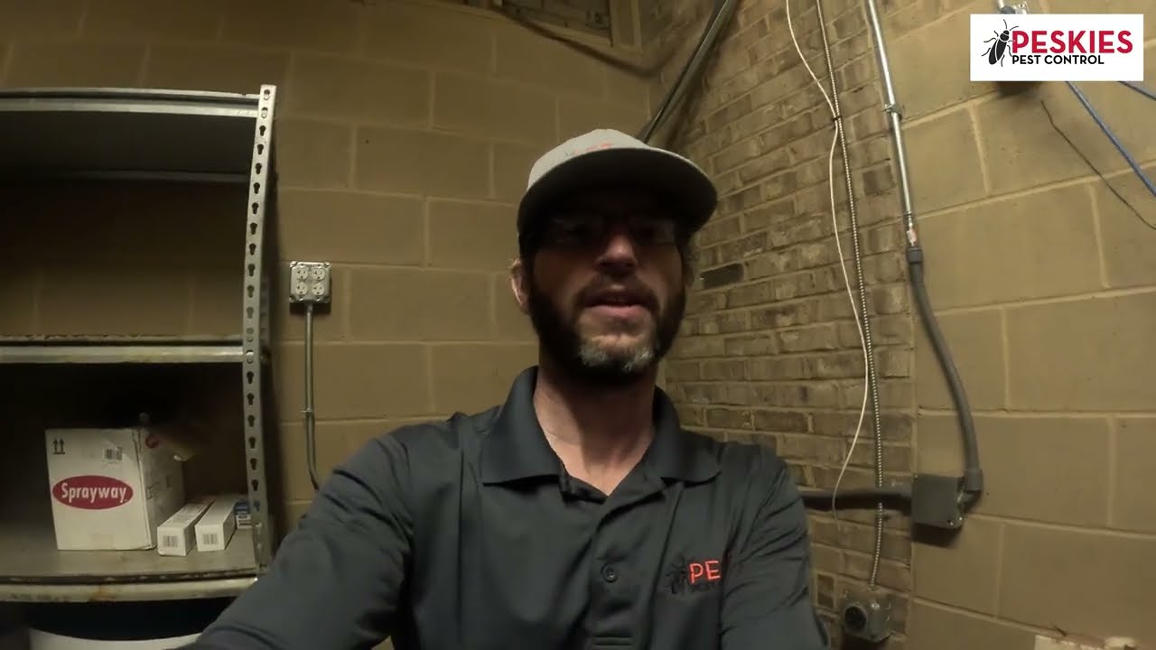 Sealing Out Rodents in Birmingham, Alabama!