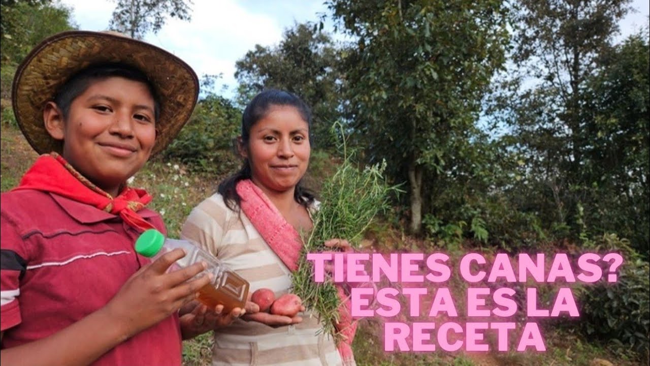 CON SOLO TRES INGREDIENTES SE ELIMINAN LAS CANAS