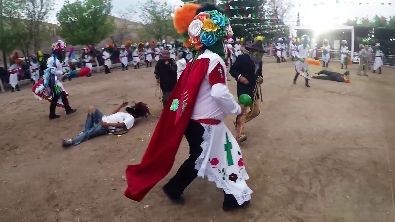 Son del Torito -  Santo Madero Juan Aldama del Cerro Pelón
