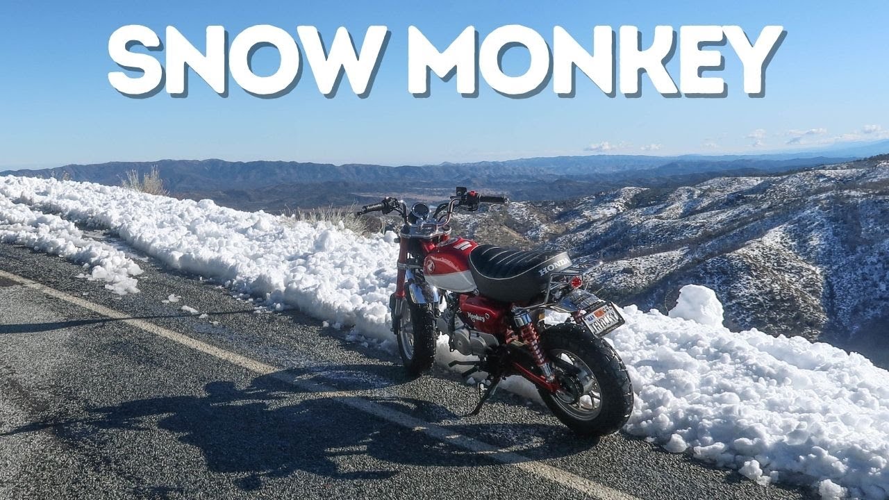 Took My Honda Monkey to the SNOW on MT Hamilton | Pure Engine Sound Only