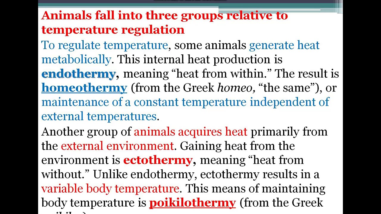 Ecology lec3 third stage part 1