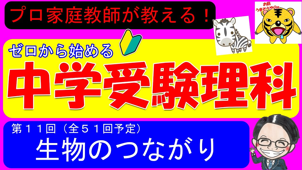 【中学受験理科】食物連鎖！地球規模の壮大なストーリーを20分で説明！【ゼロから始める中学受験理科 第１１回】