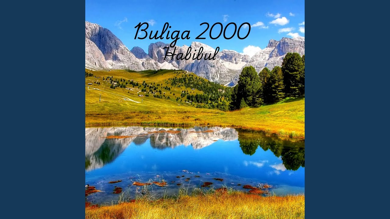 Buliga 2000