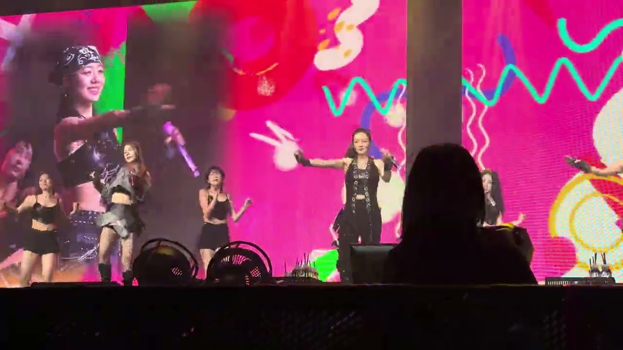 [4K] 250220 Apink (에이핑크) - Withcha - 2025 Apink 7th CONCERT [PINK NEW YEAR] In SINGAPORE