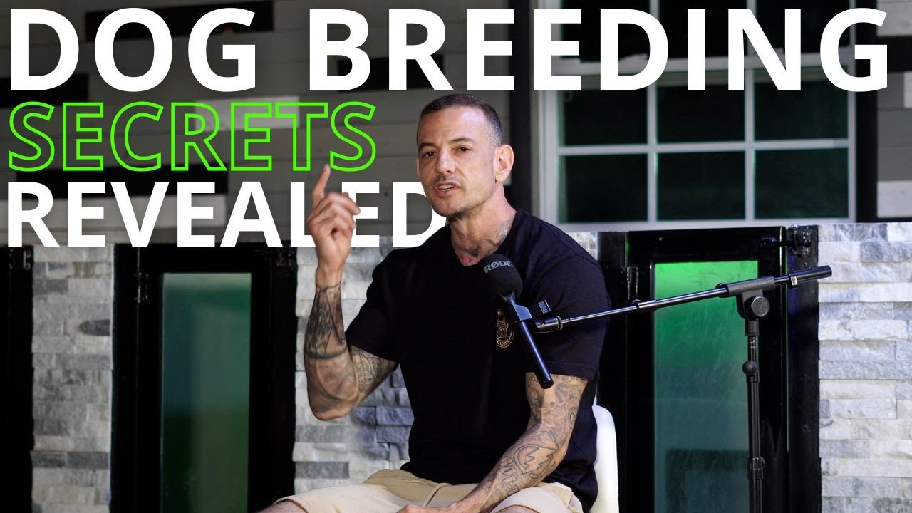 Dog Breeding EXPOSED! The truth they dont want you to know & why most fail !