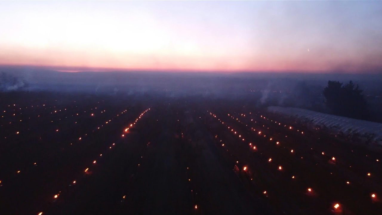 French burn candles by apricot trees to protect from frost | AFP