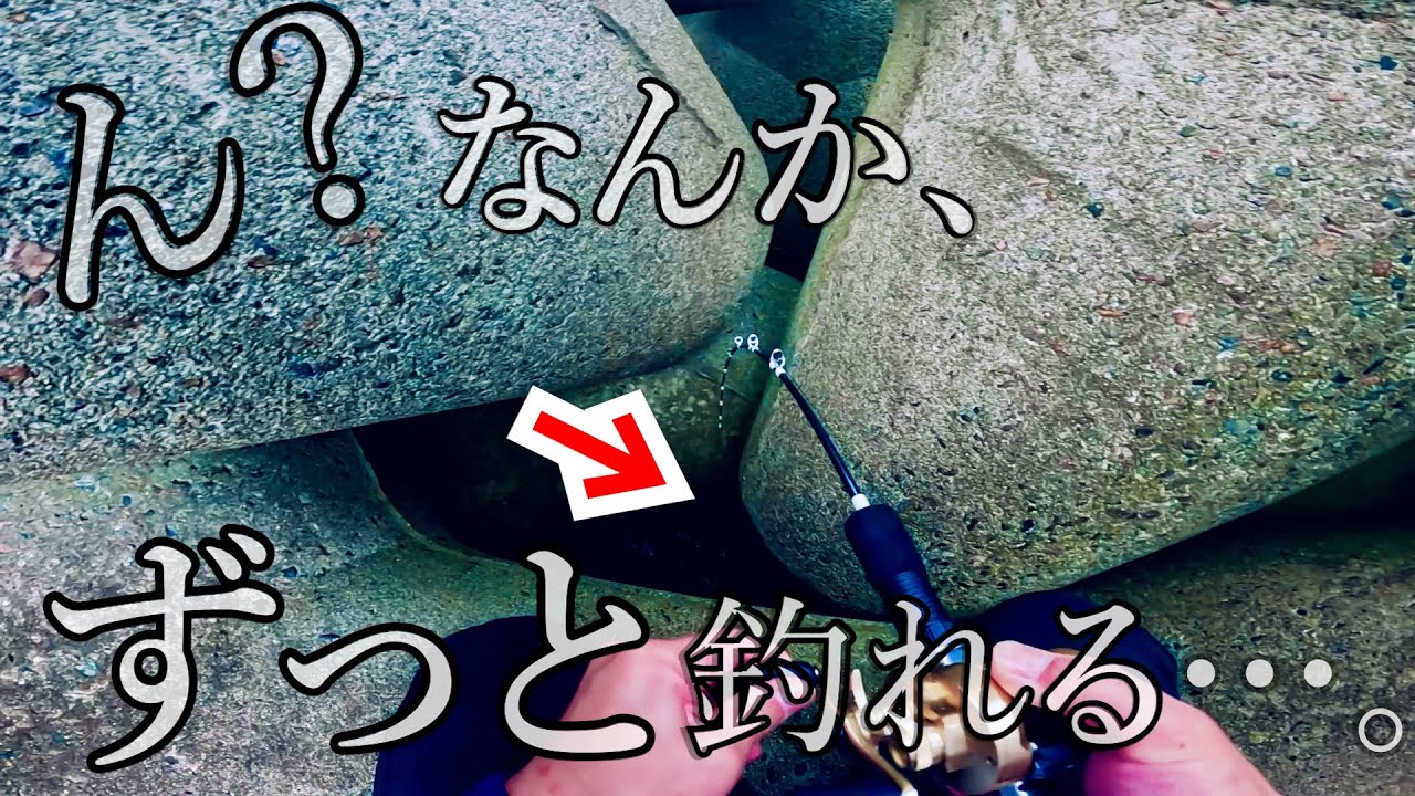 【穴釣り】大物調査に行ったら活性がやばかった…。