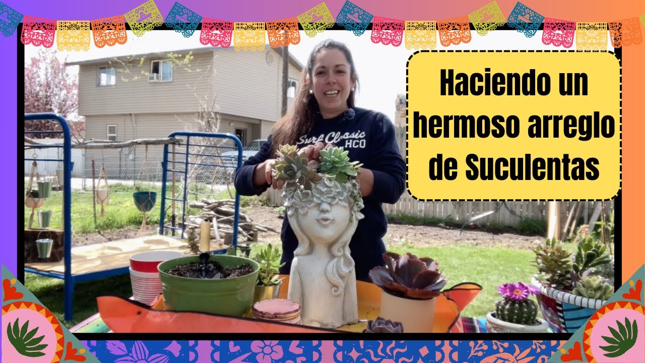 Haciendo un arreglo de suculentas en una hermosa maceta