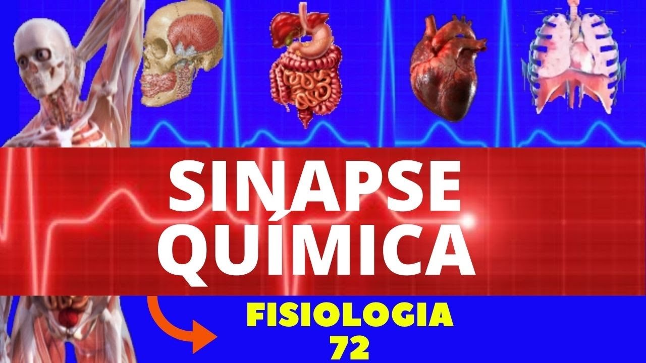 SINAPSE QU&Iacute;MICA (TRANSMISS&Atilde;O SIN&Aacute;PTICA) - NEUROFISIOLOGIA - SISTEMA NERVOSO - FISIOLOGIA DE GUYTON