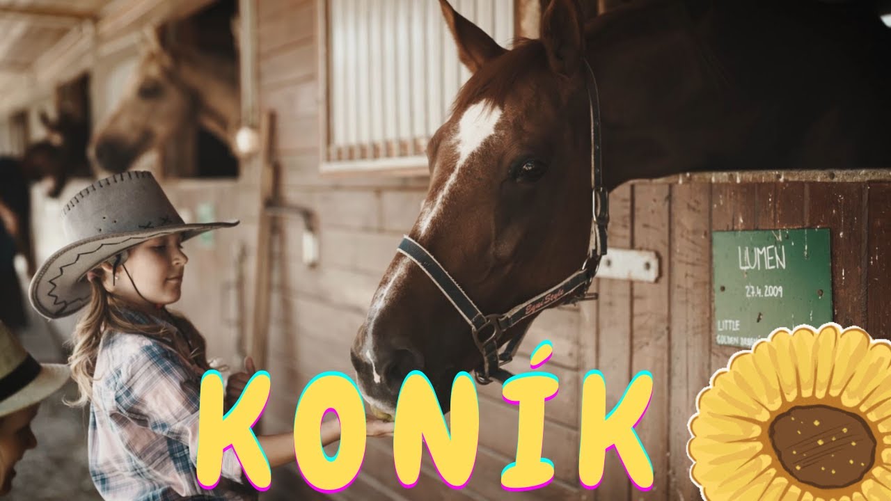 Iveta Masníková – KONÍK / Oficiálny videoklip