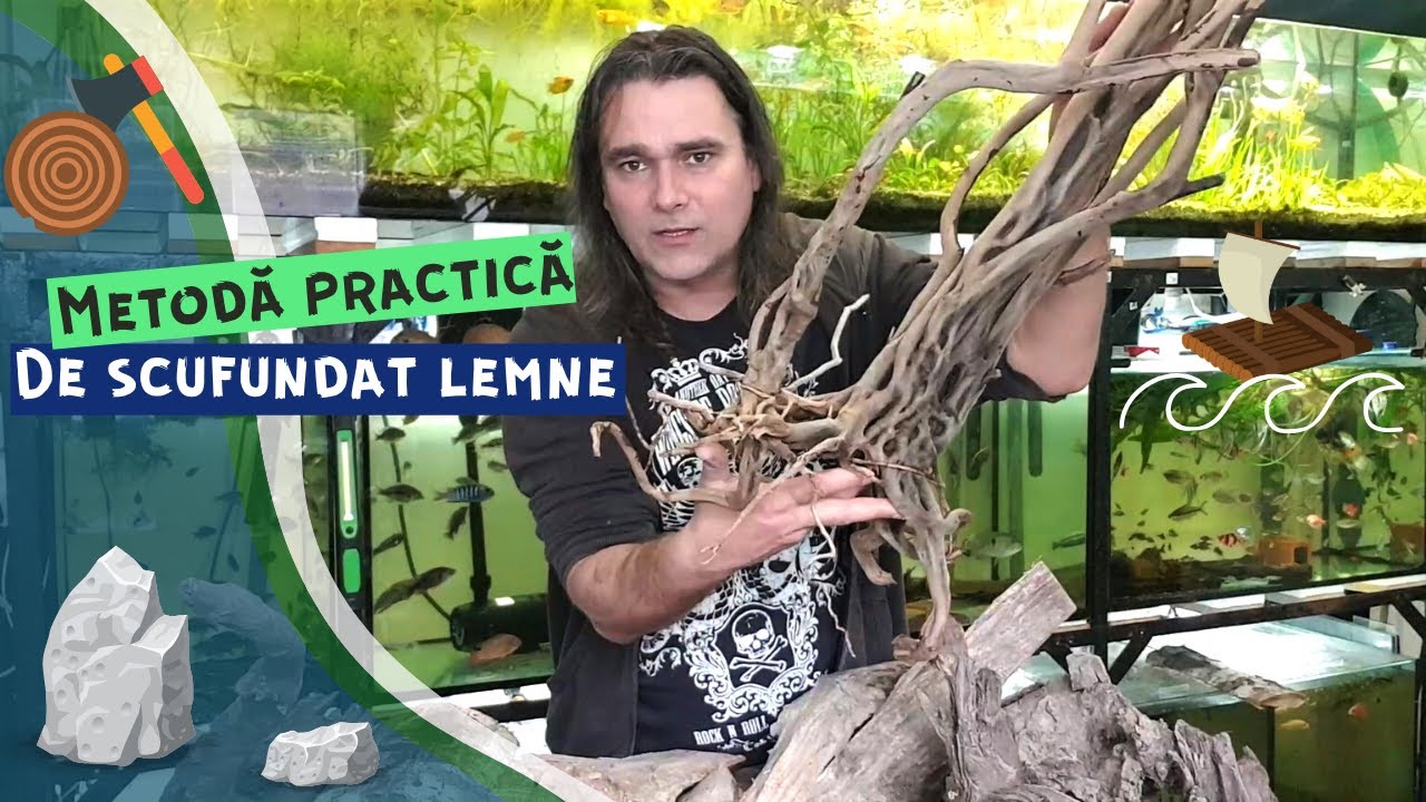 Lemne care plutesc in acvariu - Solutie DIY [ Aquarium driftwood ]