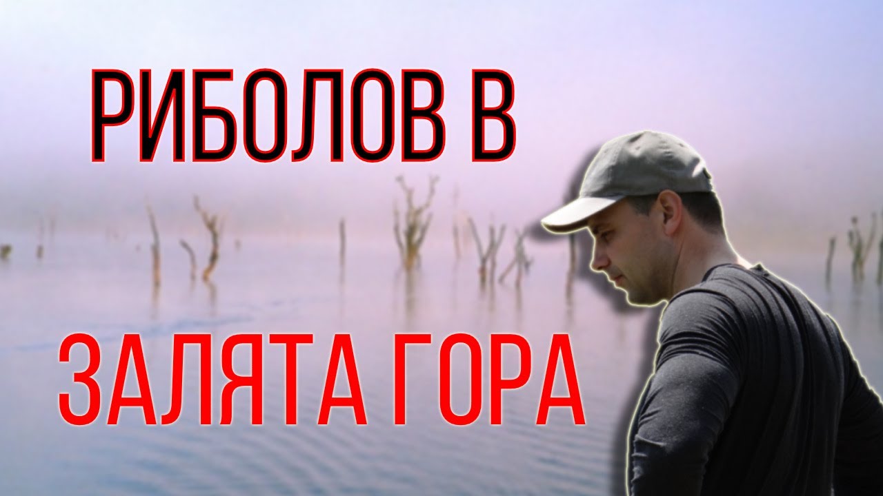 Риболов на шаран: Залятата гора (2023)