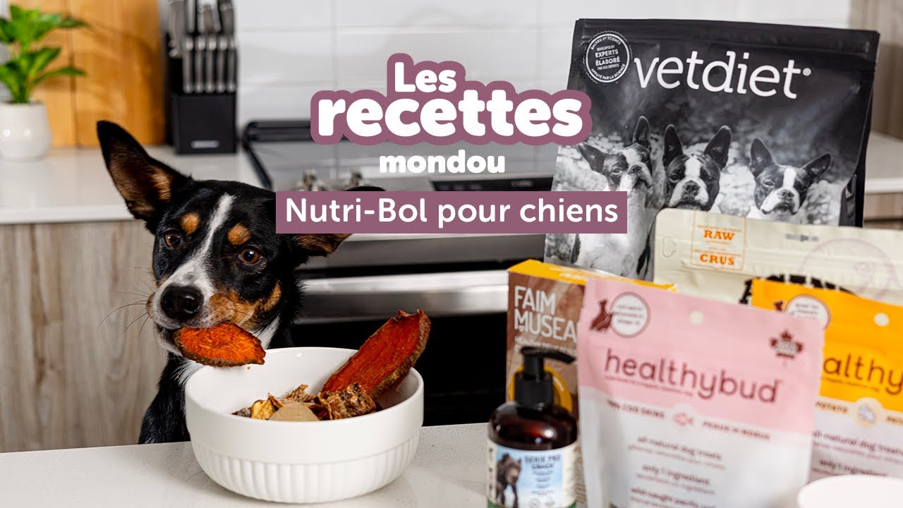 Recette Nutritive pour Chien 🐶 | Le Nutri-Bol Mondou &ndash; Boostez ses repas