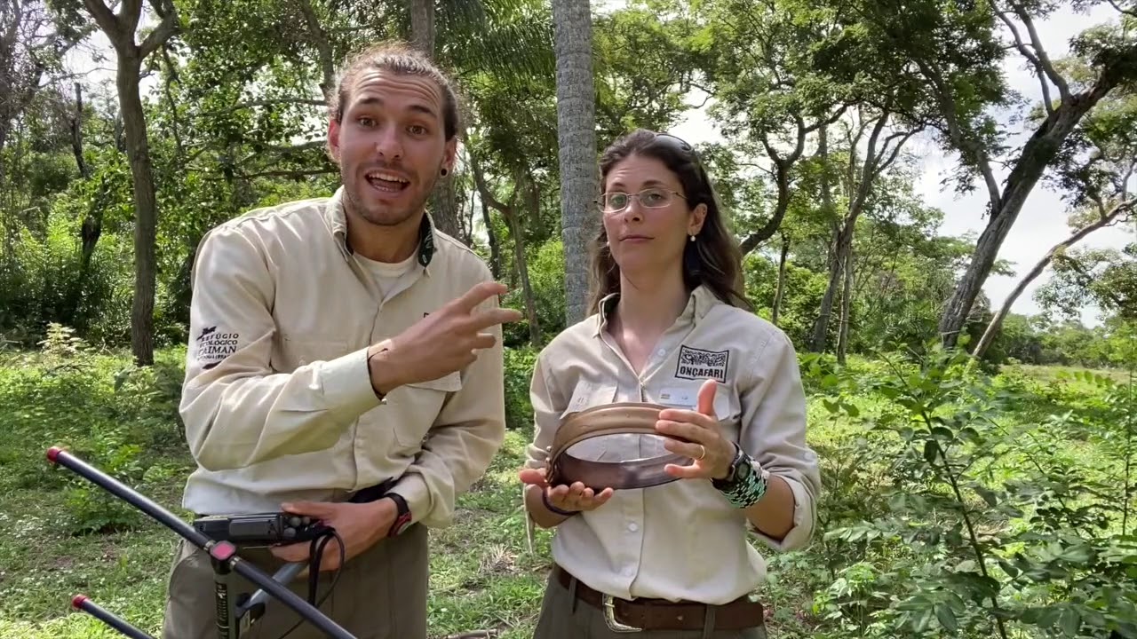Kids Safari in the Brazilian Pantanal with Oncafari