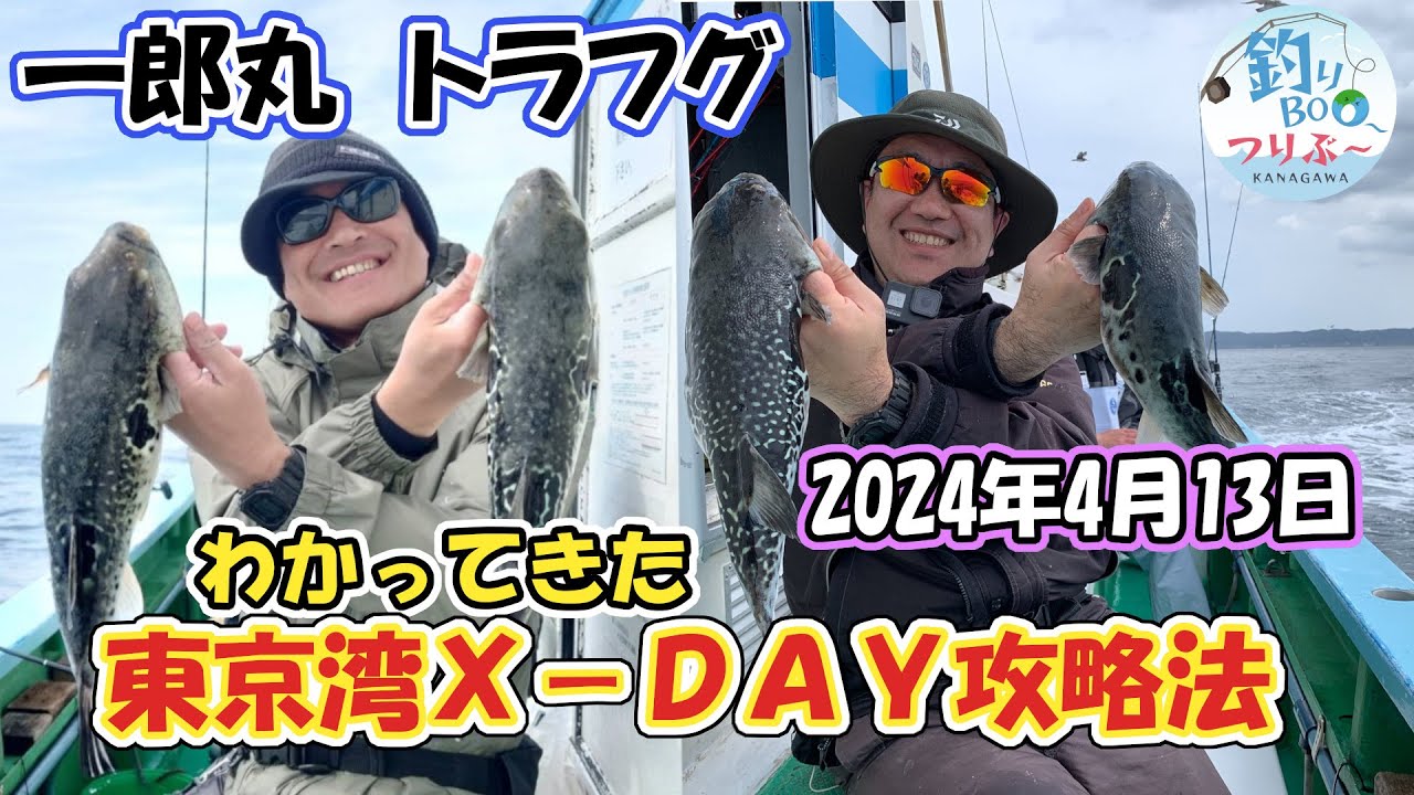 X-DAY東京湾トラフグ攻略！一郎丸2024年4月これで竿頭になれる！？
