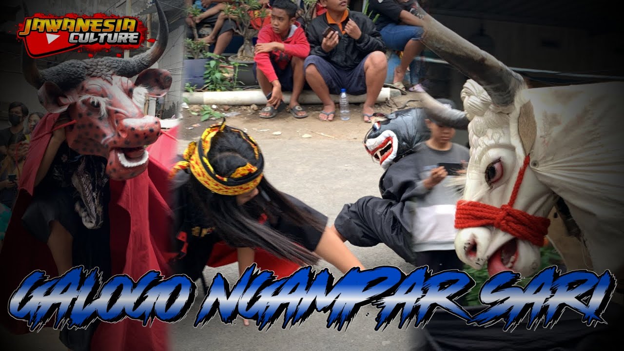 BANTENG KRIBO PUTIH BIKIN SALFOK PENONTON…. GALOGO NGAMPAR SARI || Live pandanlandung wagir