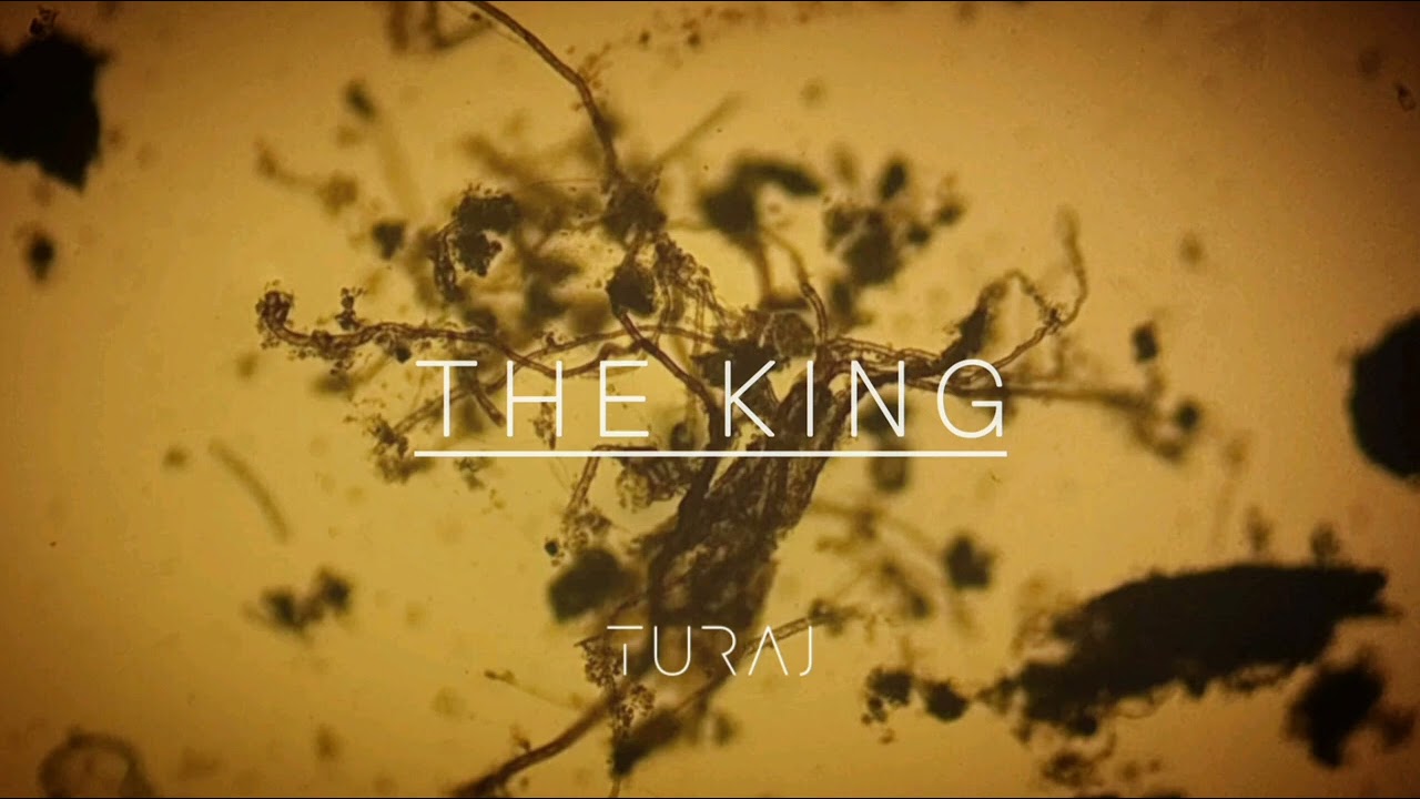 TURAJ - The King