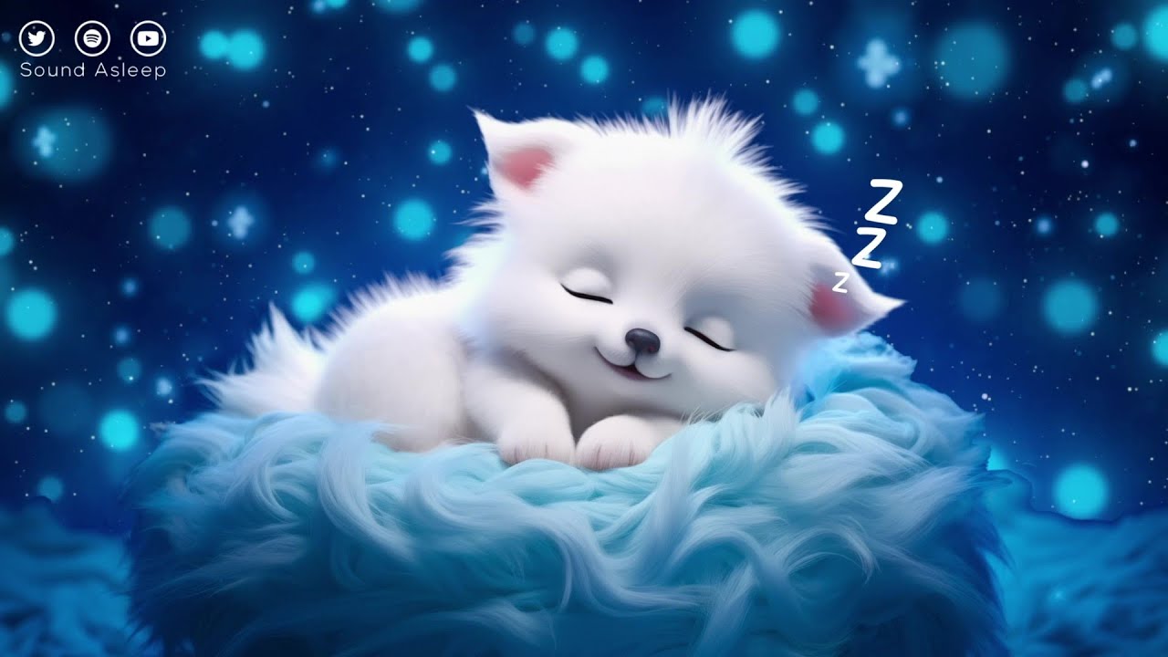 Supera el insomnio 💤 Duerme en 5 minutos • Libera melatonina y mejora el sueño profundo