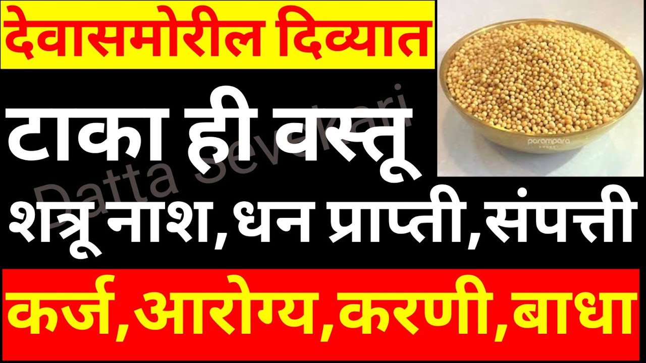 पिवळ्या मोहरीचे 5 उपाय शत्रू नाश,धन प्राप्ती,संपत्ती,कर्ज,आरोग्य,करणी,बाधा