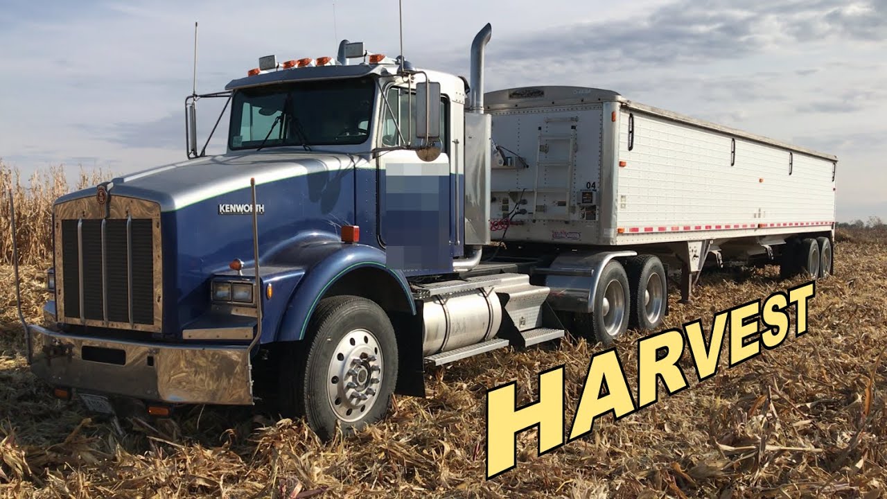 Helping with the Harvest - Hauling Corn from the Field to the Elevator