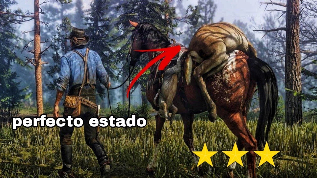 Red Dead Redemption 2 | Cómo Conseguir Una Piel De Ciervo  En Perfecto Estado Ubicación
