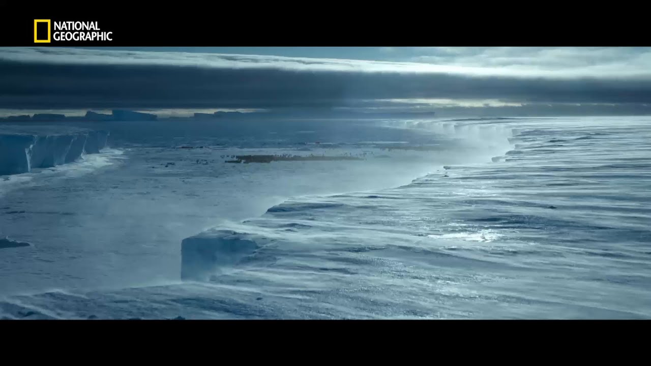 Explorer Film Festival 2025 | Promo | National Geographic