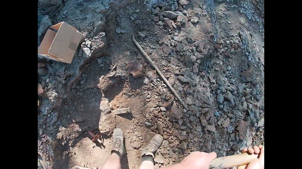 Day 7: Not Every Ammonite is Found Intact