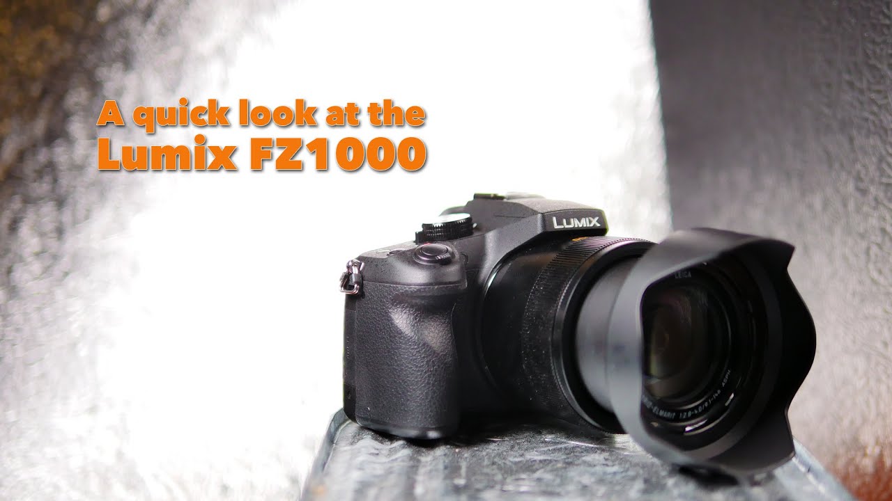 A Pro's take on the Lumix FZ1000 Mirrorless.