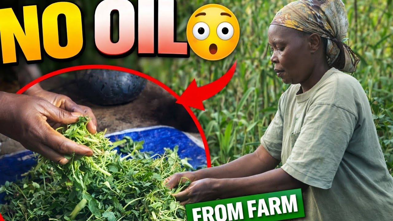 From Farm to Pot 🥬🔥 | Mata Picks Fresh Veggies & Cooks with No Oil!”