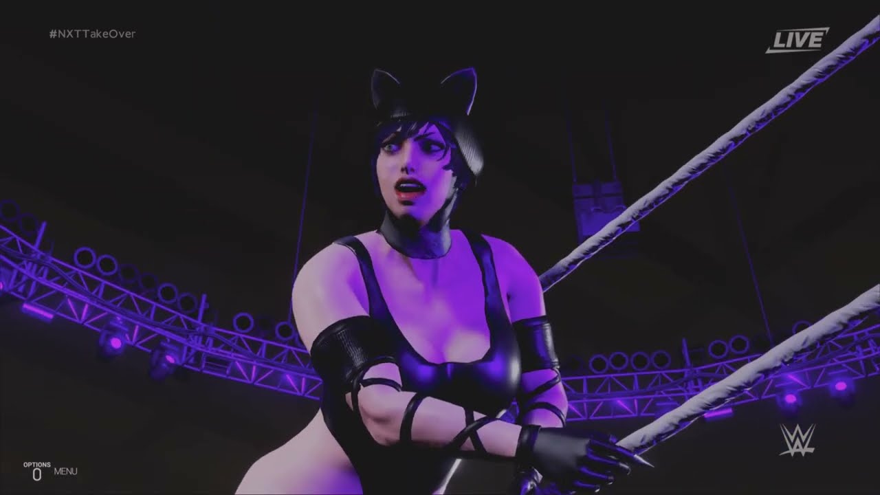 (REQUEST) BATMAN VS CATWOMAN ( iron man submission match)