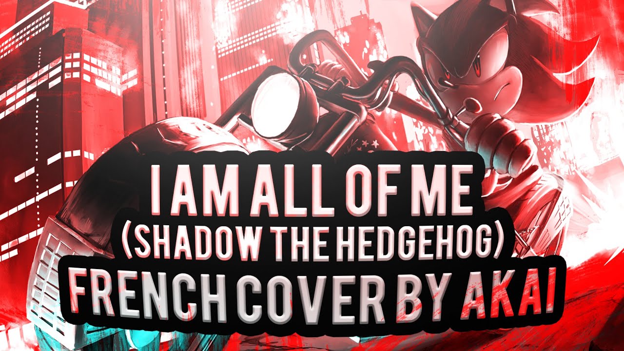 I am all of me (Shadow the hedgehog) - French cover - Akai