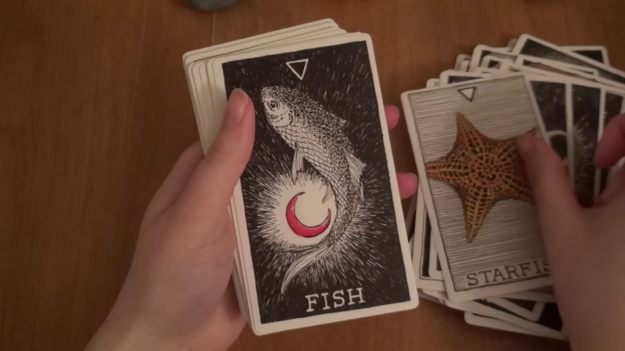Quick Flip Through of The Wild Unknown Animal Spirit Oracle (All Cards)
