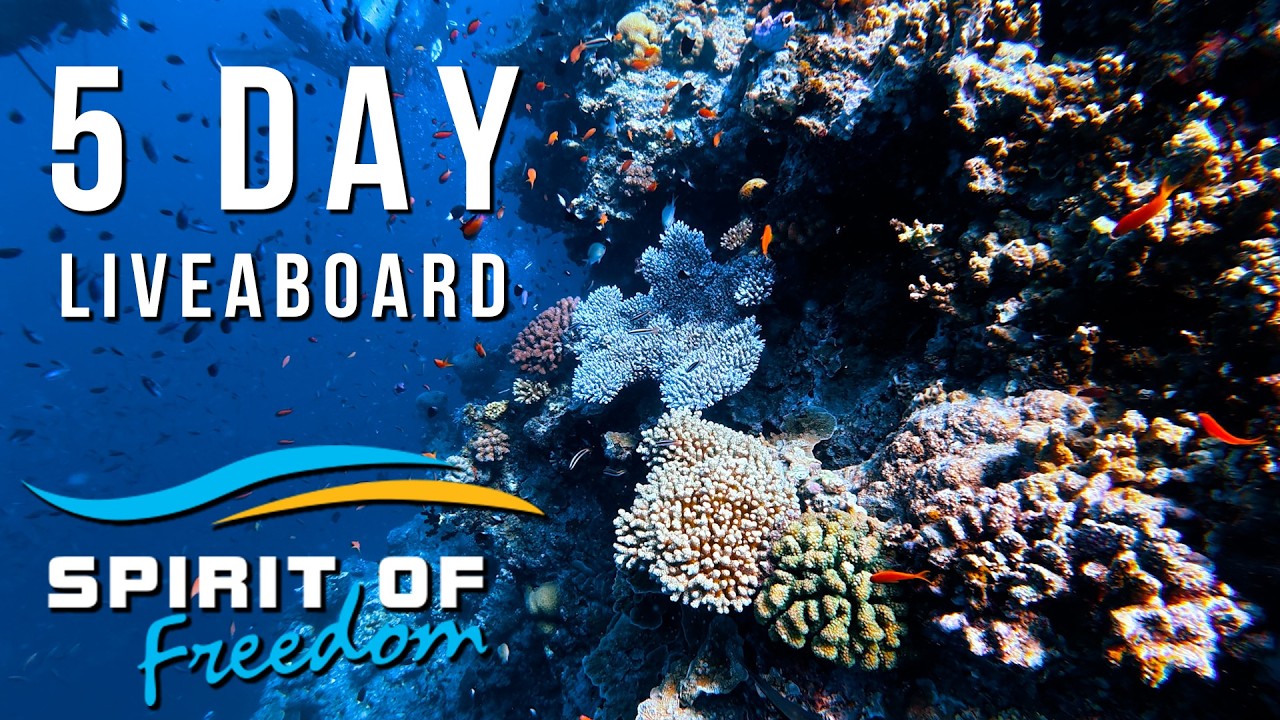 Spirit Of Freedom Liveaboard - Coral Sea and Great Barrier Reef - Australia