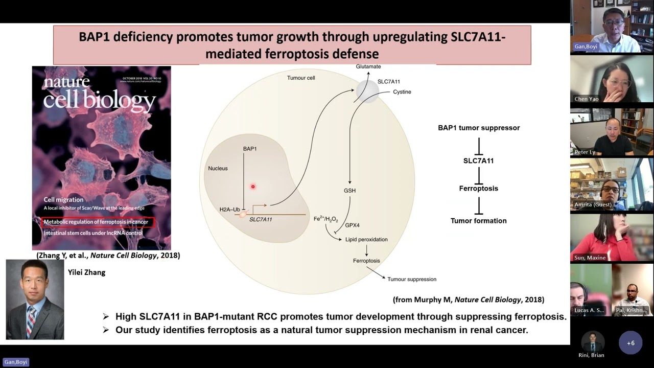 Targeting Ferroptosis in Renal Cell Carcinoma