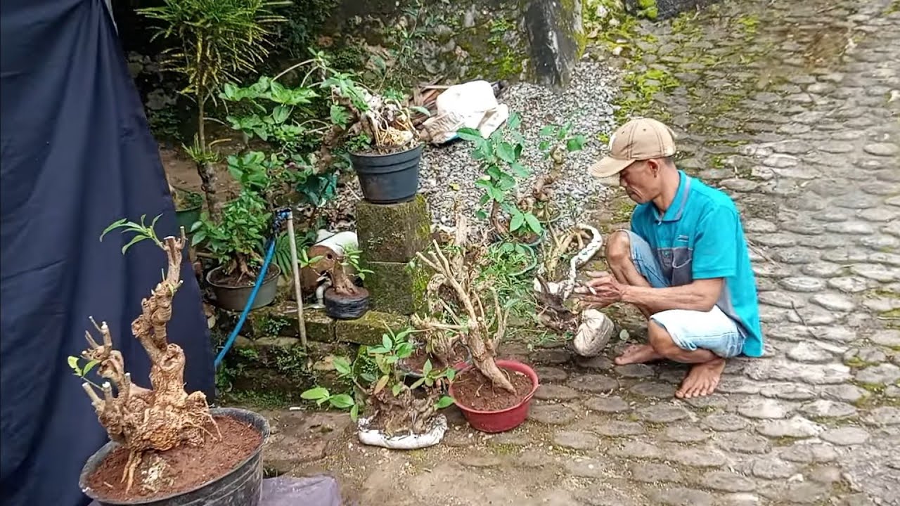 Gudangnya bahan berkarakter bosku,di pk Ali Baba 081 216 767 517