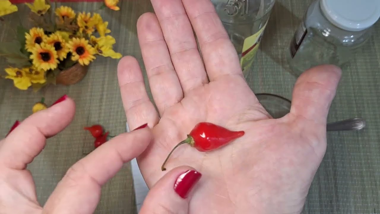 AFASTAR RIVAL!!! SIMPATIA DA PIMENTA FORTÍSSIMA COMPROVADA
